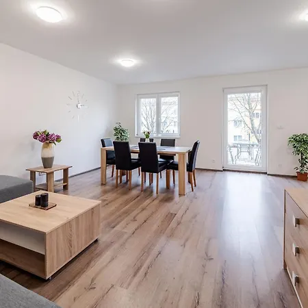 Private Luxury Apartments Frymburk Room photo