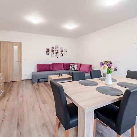 Private Luxury Apartments Frymburk Room photo